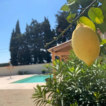 Andoli Frühstückspension